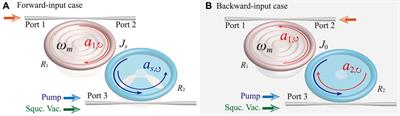 Quantum squeezing induced nonreciprocal enhancement of optomechanical cooling